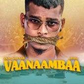 Vaanaambaa artwork
