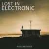 Lost In Electronic, Vol. 4