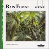 Rain Forest, 1993