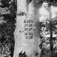 Richard Swift - Even Your Drums Will Die: Live at Pendarvis Farm 2011 artwork