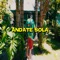 ANDATE SOLA (feat. Shadiel) - Yair lyrics