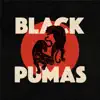 Black Pumas album lyrics, reviews, download