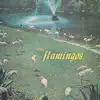 Flamingos album lyrics, reviews, download