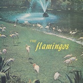 The Flamingos - I'll Be Home