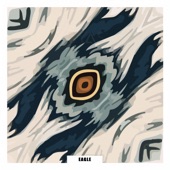 Eagle (AKZENTH Remix) artwork
