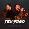 Teu Fogo (feat. Dudu (Missão Amor Maior)) - Single