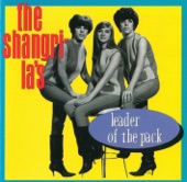 The Shangri-Las - He Cried