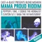 Dancehall Addict (feat. BNC the Disco Vampire) - Blend Mishkin lyrics