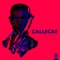 Planetarium (Extended Mix) - Callecat lyrics