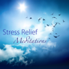 Stress Relief Meditations - Antistress and Calming Music for Busy People, Relaxation and Peace - No Stress Ensemble