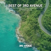 Best of 3rd Avenue  Spring 2020 artwork