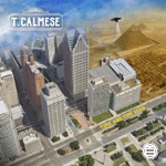T. Calmese - Play on Player