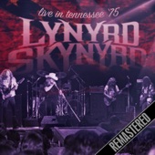 Lynyrd Skynyrd - Call Me Breeze (Remastered) [Live]