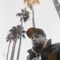 500 A Zip - Keem Veggies lyrics