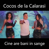 Cine Are Bani in Sange artwork