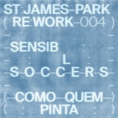 Como Quem Pinta (St. James Park Remix) artwork