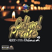 Cultural Praise Vol.2 artwork