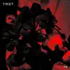 Trst. (feat. Amisha Sarkar) - Single album lyrics, reviews, download