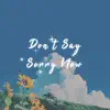 Don't Say Sorry Now - Single album lyrics, reviews, download