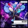 No Sky - Single