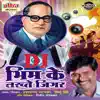 Dj Bhim Ke Lakhte Jigar album lyrics, reviews, download