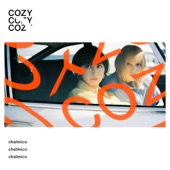 COZY - EP artwork