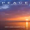 Peace in the Midst of the Storm - Single album lyrics, reviews, download