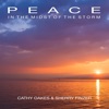 Peace in the Midst of the Storm - Single