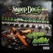 Snoop Dogg - Roaches In My Ashtray