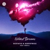 Wildest Dreams (feat. MERYLL) - Single