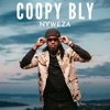 Nyweza (feat. Katalina) - Single