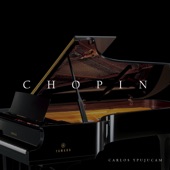 Nocturne In C Sharp Minor artwork