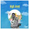 High Level - Single (feat. Blownboii) - Single album lyrics, reviews, download