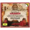 Turandot: "Ah! Per L'ultima Volta!" (Timur, Liù, Ping, Pang, Pong, Calaf, Coro) song lyrics