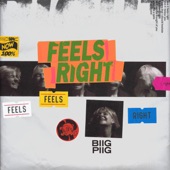 Biig Piig - Feels Right