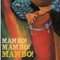 Adiós - Featuring Janis Siegel - Mambo Mambo Mambo lyrics