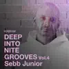 Deep Into Nite Grooves, Vol. 4 album lyrics, reviews, download