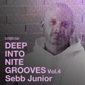 Deep Into Nite Grooves, Vol. 4 artwork
