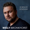 Ik Ben Zo Eenzaam (Orkestband) - Single