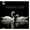 LAURA SILBERBERG - THEME FROM SWAN LAKE