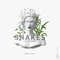 Snakes in the Grass - Marco Dolo lyrics