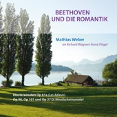 Beethoven und die Romantik (Mathias Weber an Richard Wagners Érard-Flügel) artwork