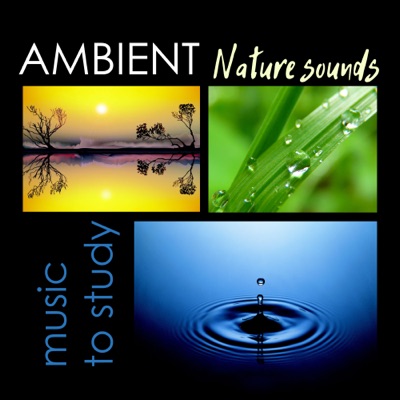 vride lave et eksperiment Wings Sounds Of The Ocean (Hang Drum) - Exam Study Nature Music Nature Sounds |  Shazam