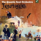 The Quantic Soul Orchestra - Father (Soul)