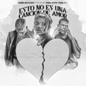 Esto No Es una Canción de Amor artwork
