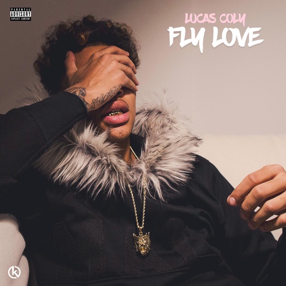 Cover artwork for Fly Love