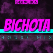 Bichota (House Mix) artwork