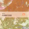 Flaming Cloud - Single album lyrics, reviews, download