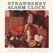 Strawberry Alarm Clock - Rainy Day Mushroom Pillow