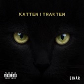 Katten i trakten artwork